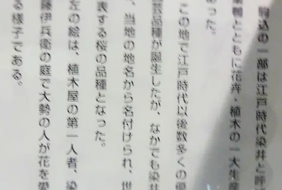 どんなことが書いてあるの?