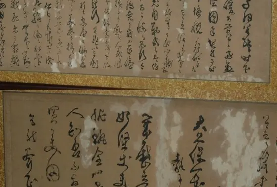 西郷の手紙
