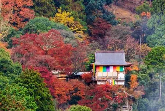 紅葉の中浮かび上がる「千光寺」