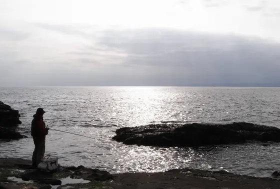 海が鈍く輝いていた