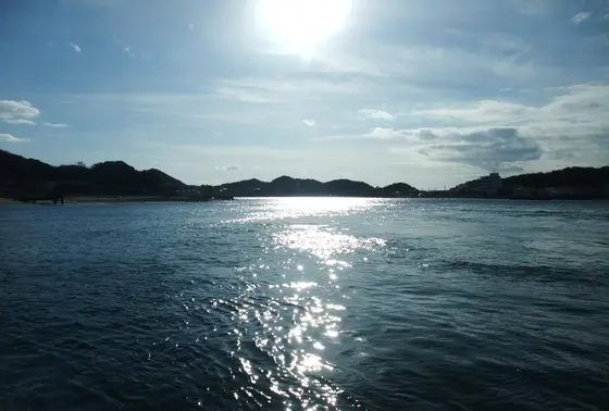 渡船からの景色は最高です！