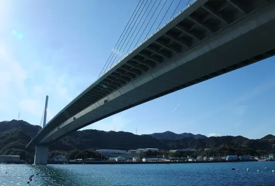 下から見上げると・・・