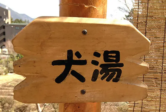 犬湯