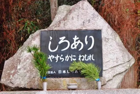 しろありさんも眠る