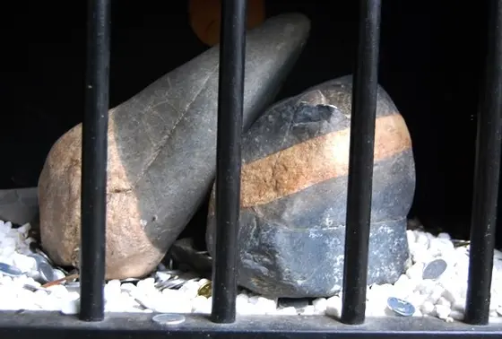 ヘドロ＆マグマの化石あります