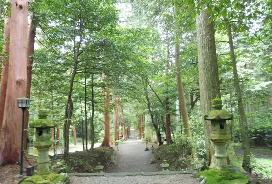 この参道がステキ…！
