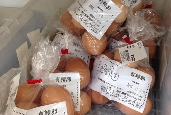 こだわりの卵もおすすめ