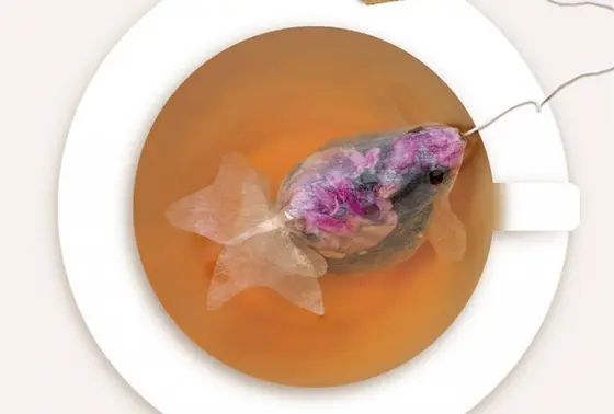 金魚ちゃんティーバッグ🐟💓💓