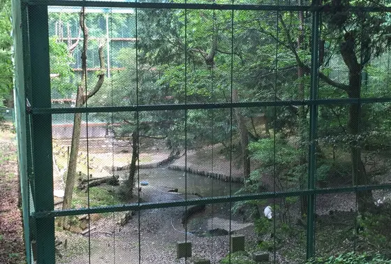無料とは思えない多種多様な鳥獣たち