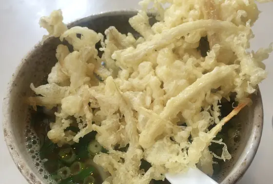 ゴボ天うどん