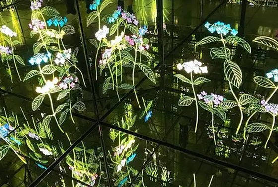 全面鏡張りの 彫刻鏡の部屋「四季」