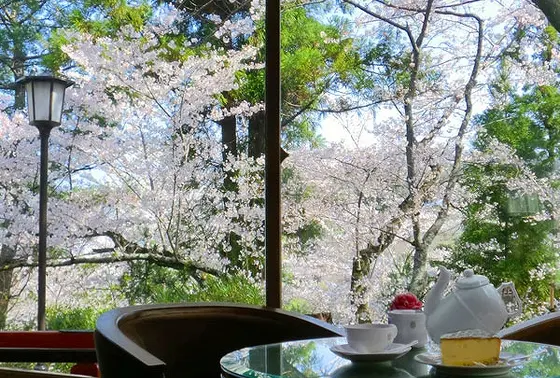 スポット内のおすすめ