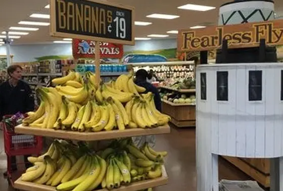 Trader Joes