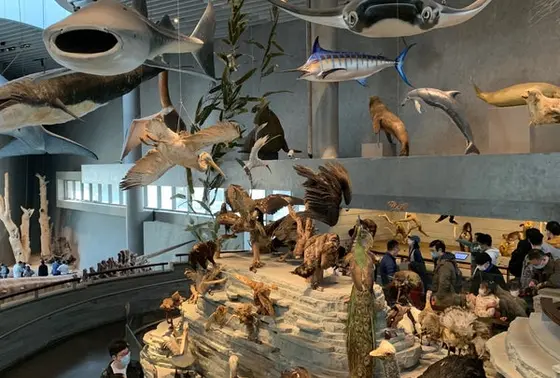 スポット内のおすすめ