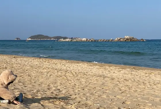 実際の外観