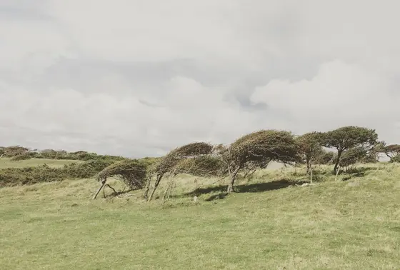 風がめっちゃ強いです