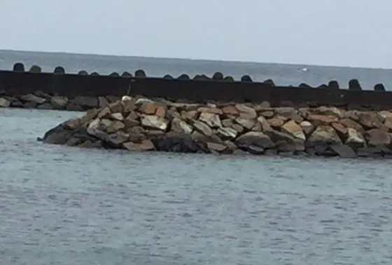 神さん島