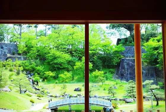 お茶室からの眺め