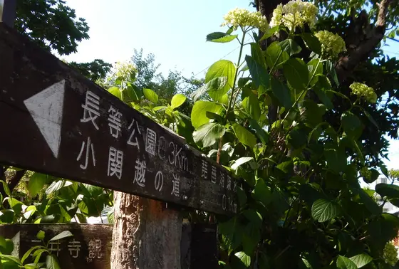すぐ横から三井寺へも行けます