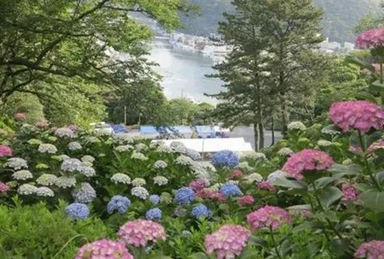 四季の花が楽しめる庭も見所です。