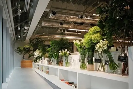 グリーン、そして素敵な花器も