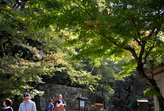 紅葉が綺麗なんです