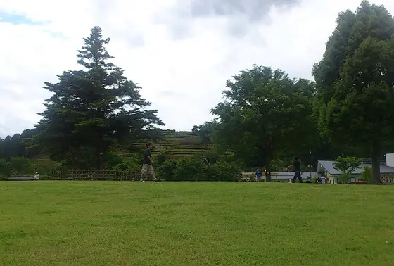 のんびり草原も。