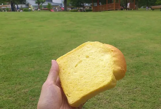 天然酵母です