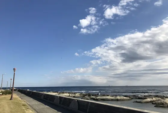 海のある景色