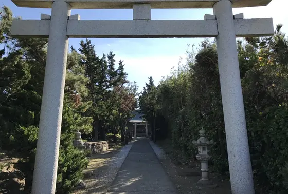 鳥居から見えると拝殿