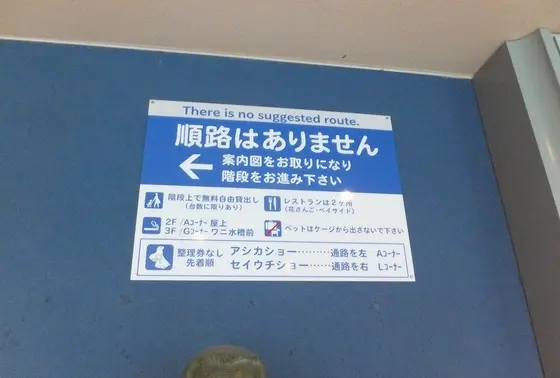 順路はありません