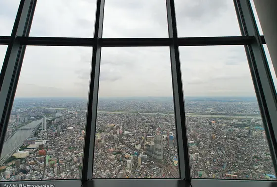 展望デッキ