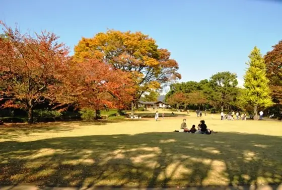 空ごはん