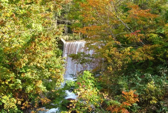 県境沿いの名もなき滝