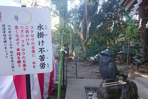 水掛け不苦労