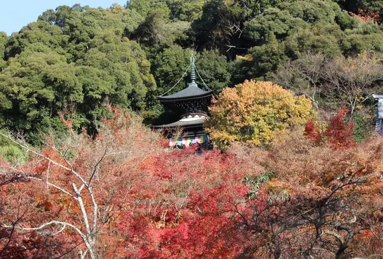 多宝塔