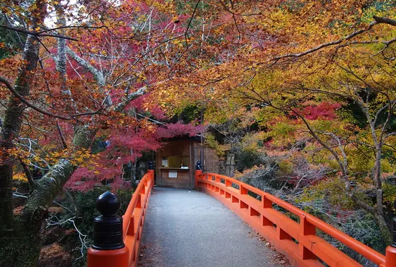 三尾その①、栂ノ尾山