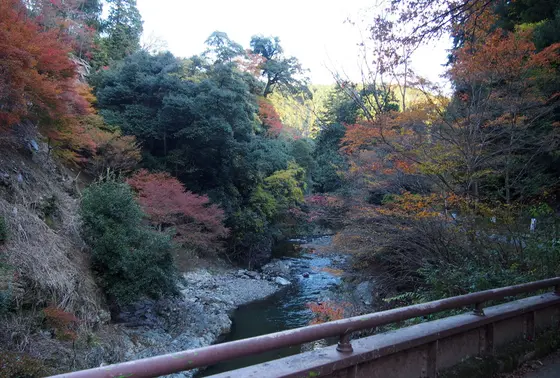 三尾その②、槇ノ尾山
