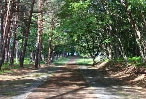 こんなにきれいな５層の断崖はなんとも不思議な景色。