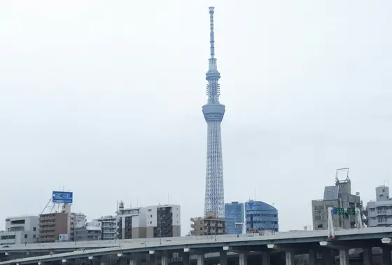 スカイツリーがどどん
