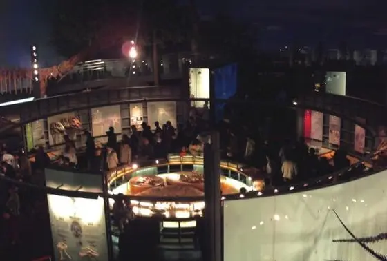 展示エリア