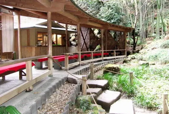 茶席の目の前には、竹林がそびえています。