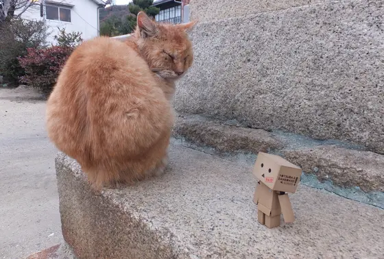 まだ、半分、寝てる。
