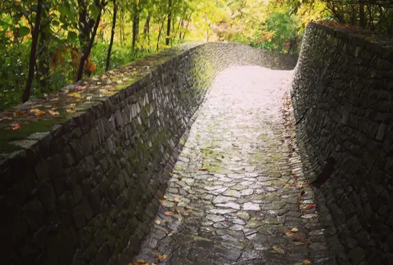 教会までの細道