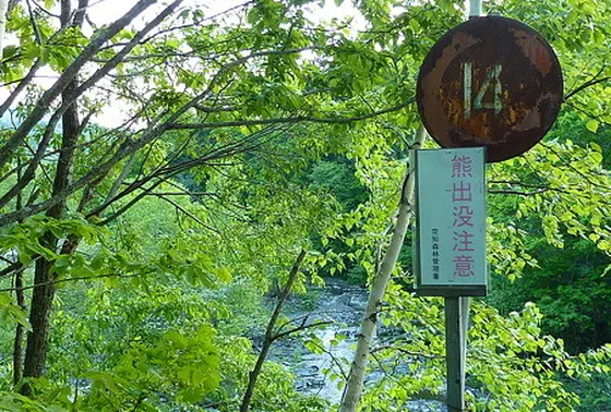 熊の出没に注意