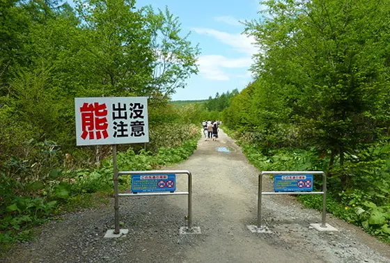 ここでも熊出没注意
