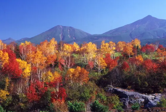 目の前にそびえ立つ十勝岳