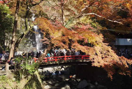 滝見橋