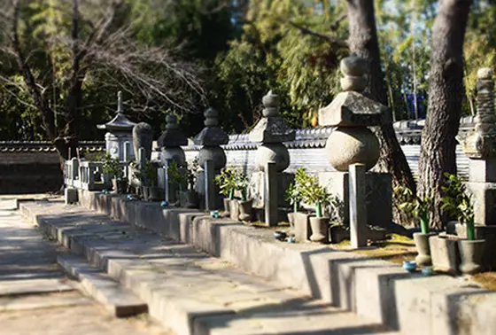 家康を救ったお寺