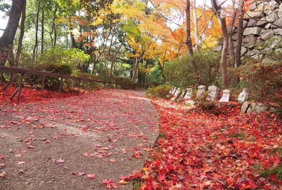 紅葉